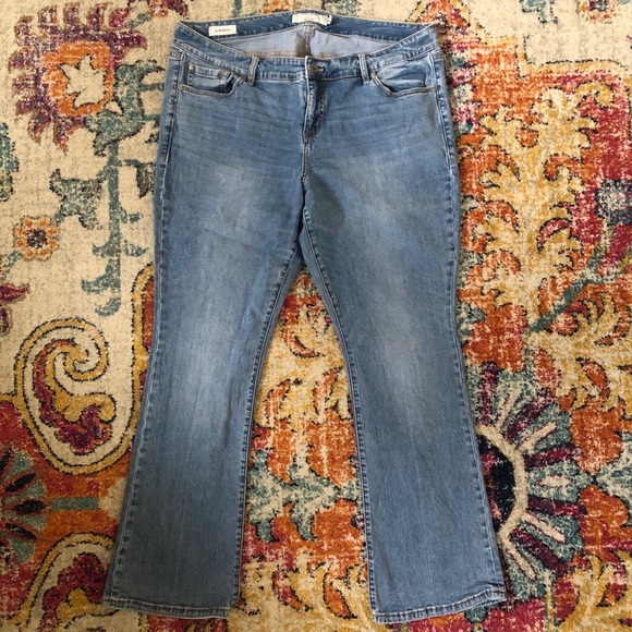 Torrid Jeans